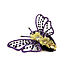 Moth Violetta. Брошь-булавка. Stasy Rich украшения и вышивка. Интернет-магазин Ярмарка Мастеров.  Фото №2