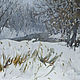 Картина маслом, Зимний пейзаж. Фотокартины. Natureartist. Ярмарка Мастеров.  Фото №4