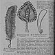 Курс изготовления шляп, книга 1904 года. Схемы для шитья. EcoLife_23. Ярмарка Мастеров.  Фото №4
