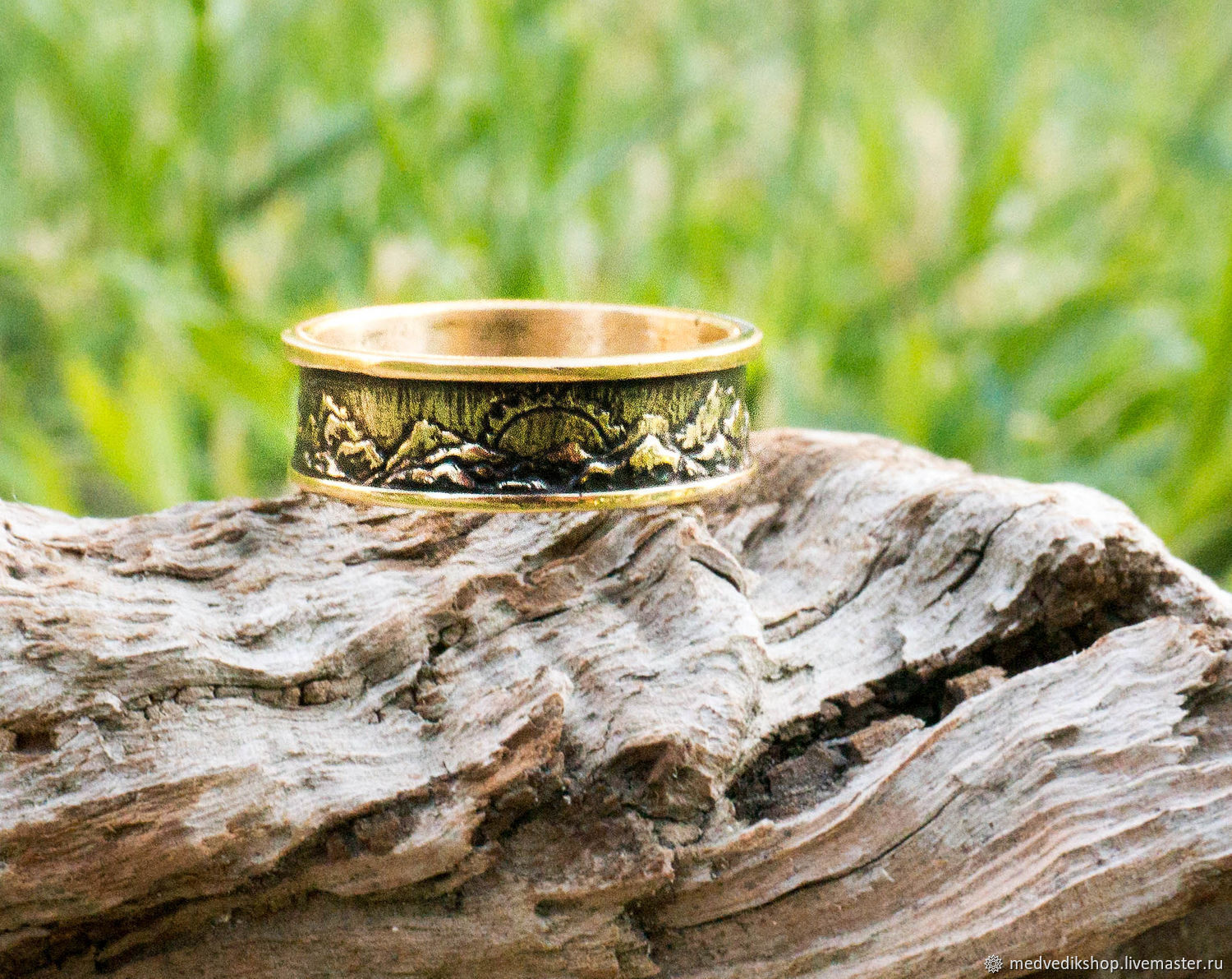 История одной семьи дзен бронзовое кольцо. Бронза в природе. Бронзовое кольцо. Бронзовые кольца сувенир. Кольца из бронзы фэнтези.