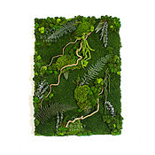 Картины и панно handmade. Livemaster - original item panels of moss. Handmade.