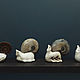 Snail Ammonite Small. Figurines. NGS Masters. My Livemaster. Фото №6