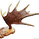 The horn of a moose on a medallion of solid beech wood, handmade. Interior elements. Unique items made of wood, handmade. Online shopping on My Livemaster.  Фото №2