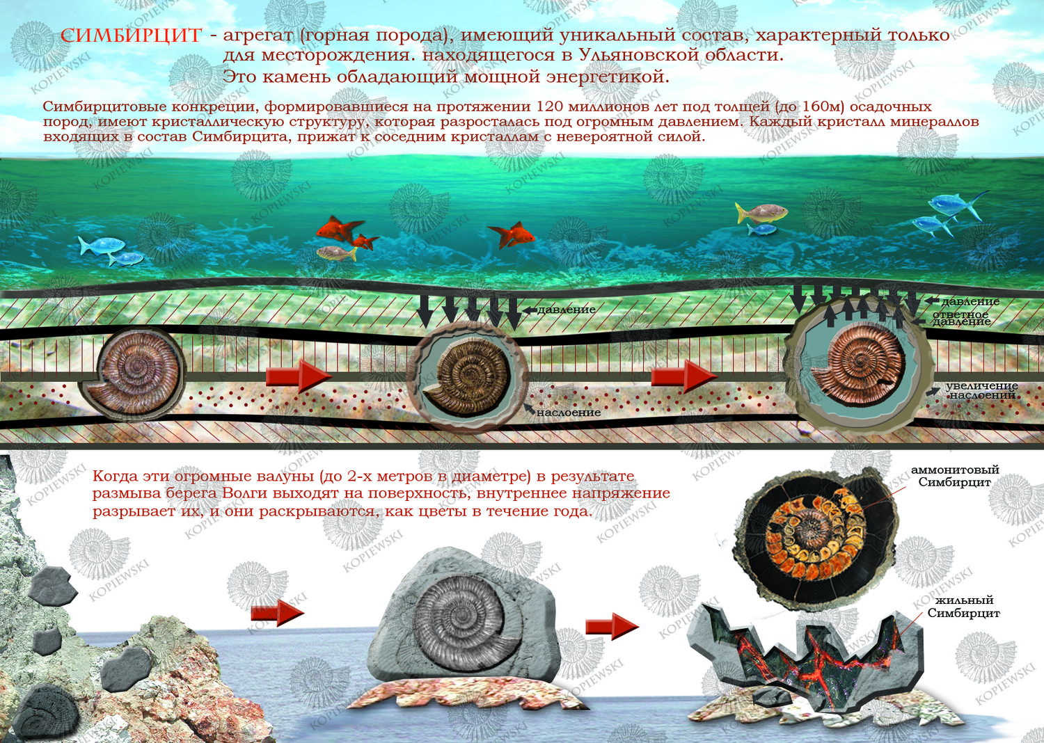 Мой профиль