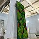 Заказать Панно из мха. Green.Box. Ярмарка Мастеров. . Фитокартины Фото №3