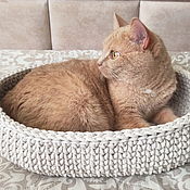 Зоотовары handmade. Livemaster - original item A bed for cats and dogs, a bed for animals knitted. Handmade.