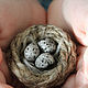 Brooch Nest. Brooches. Irina Sayfiydinova (textileheart). My Livemaster. Фото №4