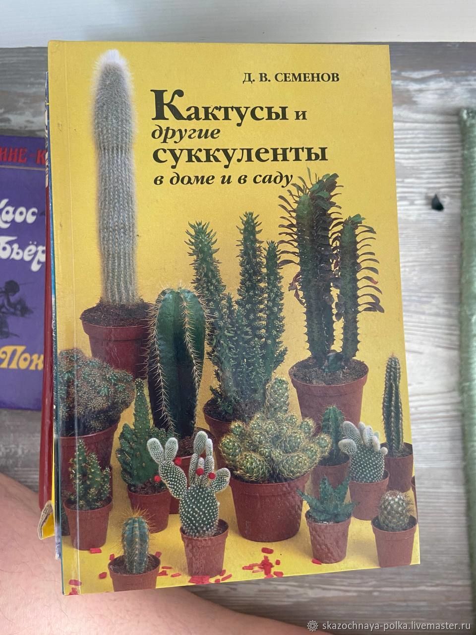 Винтаж: Кактусы и др суккуленты в доме и в саду купить в интернет-магазине  Ярмарка Мастеров по цене 350 ₽ – V314IRU | Книги винтажные, Москва -  доставка по России