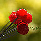 Studs 'summer in the palm of your hand'. Hairpin. VisNa. My Livemaster. Фото №4