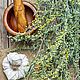  Полынь и мох, 3 мл. Духи. Wild Mystery Perfumes. Ярмарка Мастеров.  Фото №4