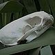 Череп молодой выдры, Скульптуры, Воронеж,  Фото №1