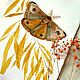 'Wind in the willows' watercolor painting (butterflies, yellow, Pictures, Korsakov,  Фото №1