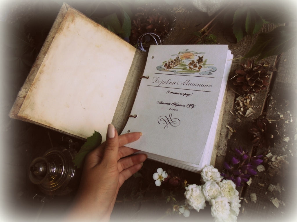 Книга о Деревне Мишкино