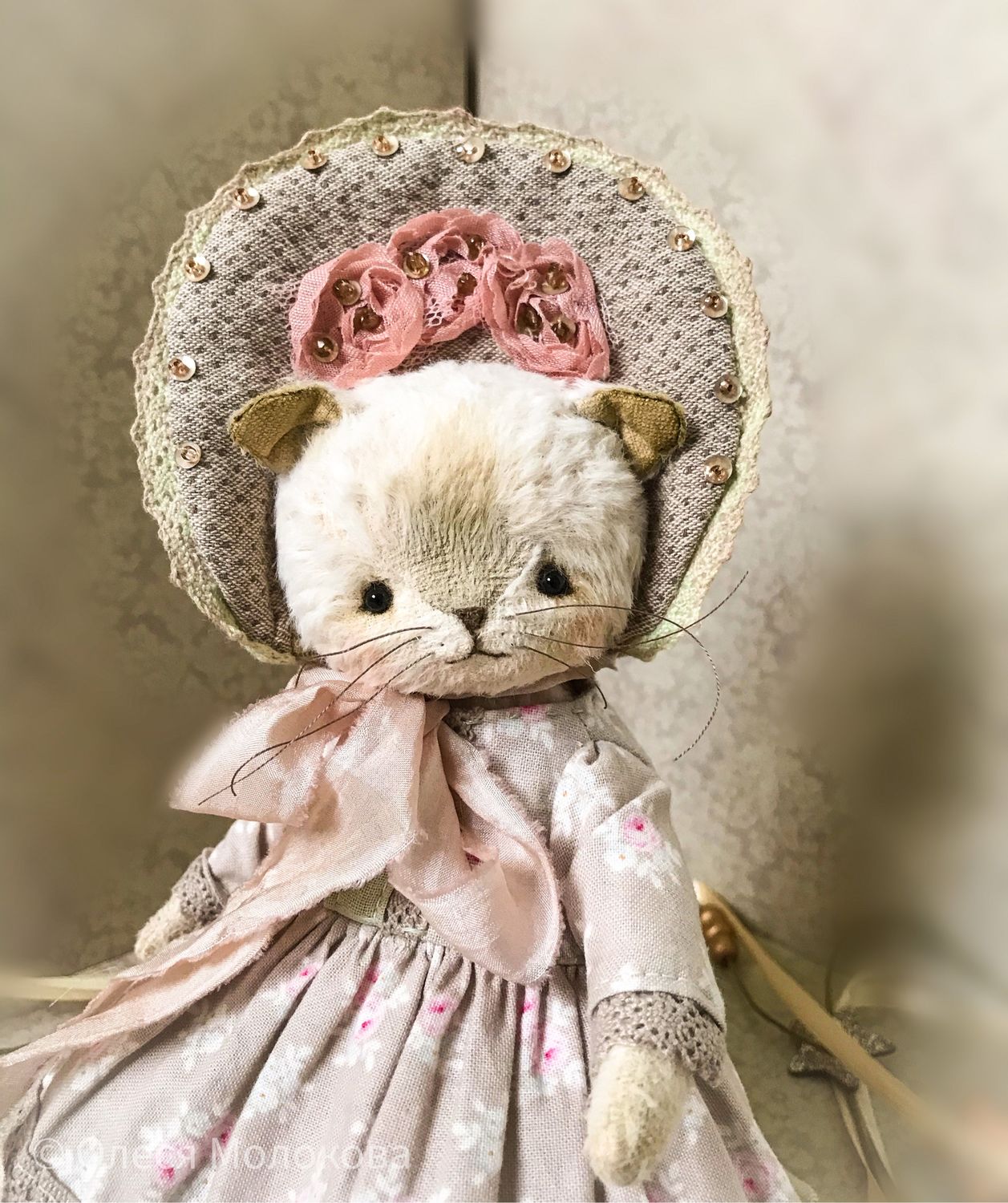 Кошка тедди