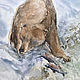 Order 'The owner came' watercolor (animals, landscape). Nadezda Perova. Livemaster. . Pictures Фото №3