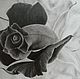  "Черная роза" - картина графика, Картины, Екатеринбург,  Фото №1