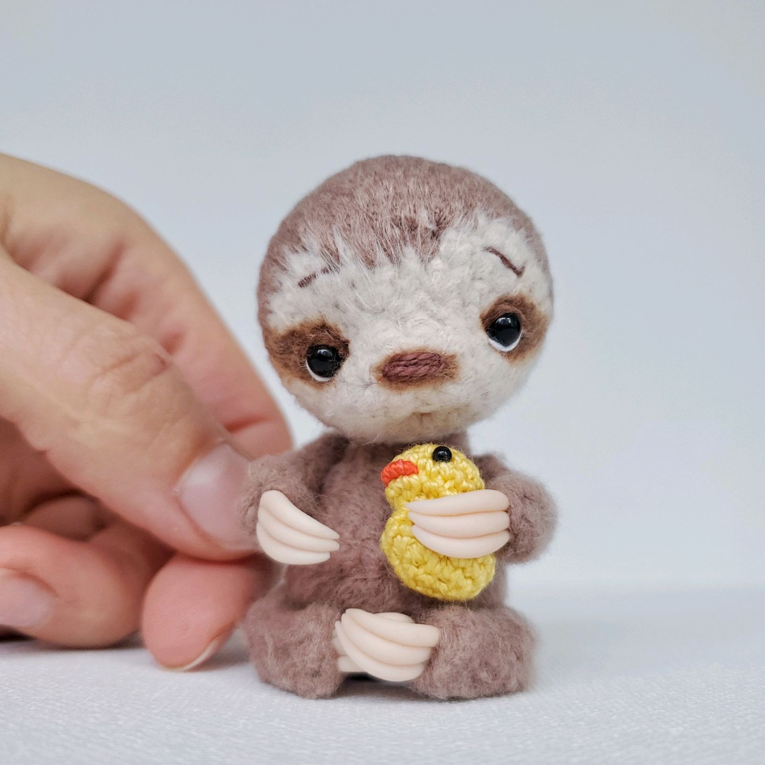 Ленивец южной америки. Австралийский ленивец. Мини ленивец. Мини ленивец. Карликовый трехпалый ленивец.