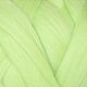 Шерсть для валяния меринос 18 микрон цвет Хлорофилл (Chlorophyll), Шерсть, Санкт-Петербург,  Фото №1