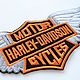 Biker patch on clothing Wings. Patches. shevronarmy. My Livemaster. Фото №4