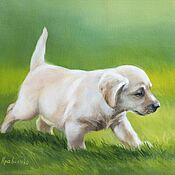Картины и панно handmade. Livemaster - original item Oil Painting on Canvas “Curious Puppy”. Handmade.