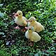 felted ducklings. Felted Toy. Anna Petinati- Live toys handmade. My Livemaster. Фото №4
