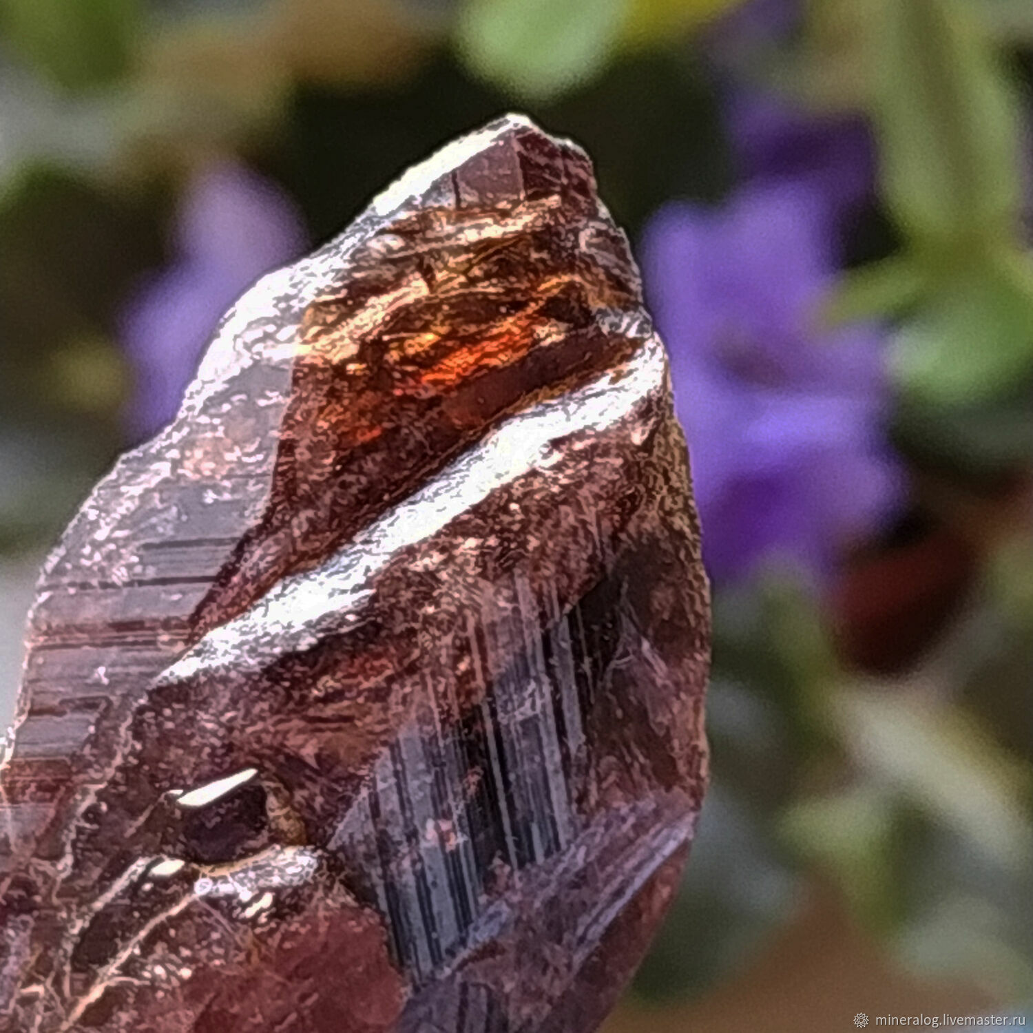 Аксинит, кристалл, минерал натуральный, Минералы, Москва,  Фото №1