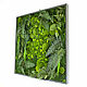 A picture of moss and plants. Fitokartins. goodly-studio. Online shopping on My Livemaster.  Фото №2
