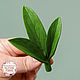 Silicone soap mold peony Leaf, Form, Zheleznodorozhny,  Фото №1