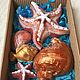 Набор мыла ручной работы `Золотая рыбка`. золотая рыбка. Handmade. подарок на день рождения. подарок на 8 марта. Интернет-магазин Ярмарка Мастеров. Мыло, мыло в подарок. EcoSoap.