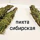 Скрутка пихта сибирская, Благовония, Барнаул,  Фото №1