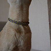 Зоотовары handmade. Livemaster - original item Collar "PHARAOH" for a cat or dog. Handmade.