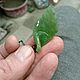 Нефритовый кулон. Листок. Кулон. Евгений Иркутск. Ярмарка Мастеров.  Фото №7