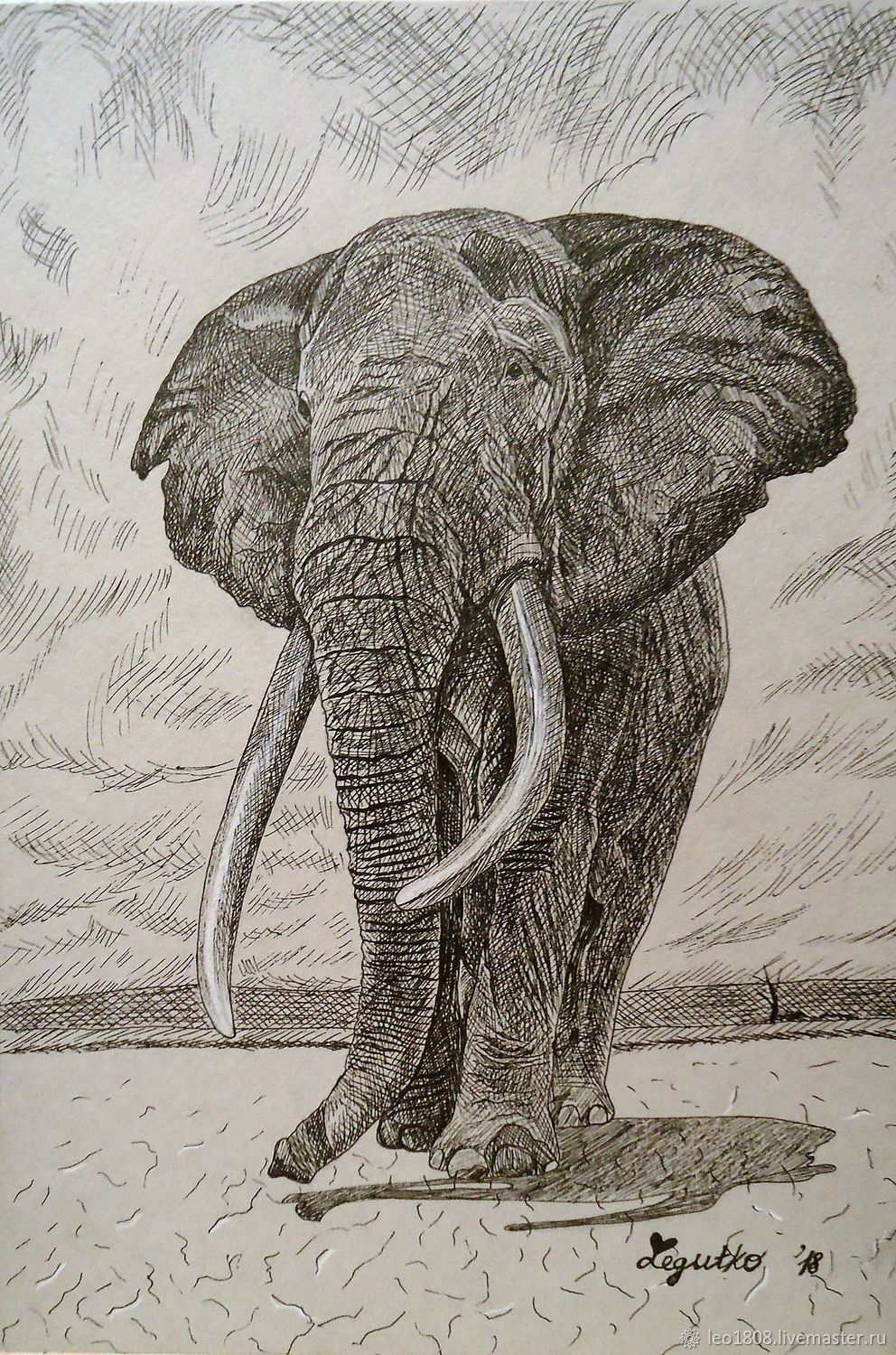 Слон гравюра