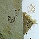 Handmade paper 'Herbalist'. Drawing paper. 'SoloMA'/Природная бумага. My Livemaster. Фото №5