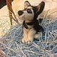 Husky. Stuffed Toys. strand of wool. Online shopping on My Livemaster.  Фото №2
