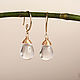 Classically drop earrings in silver, Earrings, Moscow,  Фото №1