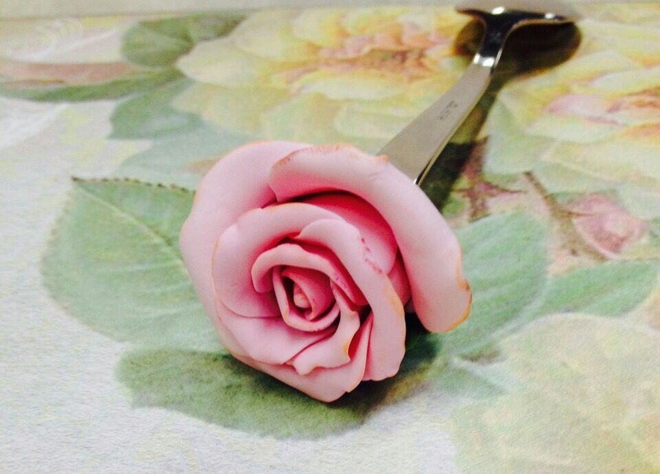Роза чайная ложка фото