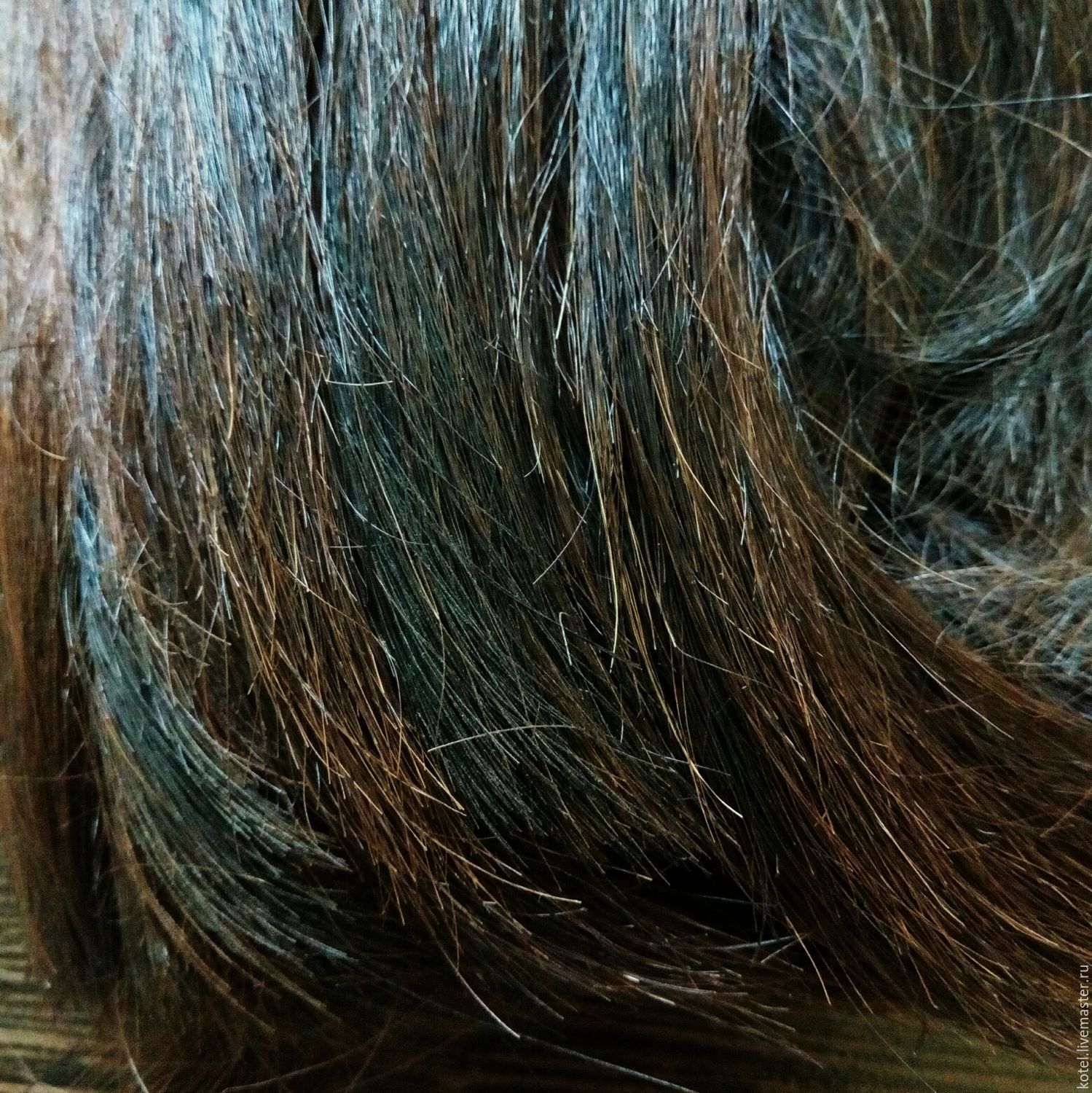 Конский волос лечение народными средствами