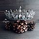 Silver Crown, Steel Crown, Silver Tiara,, Crowns, St. Petersburg,  Фото №1