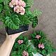 Композиция из очитка. Композиции. Flowers16kzn-. Интернет-магазин Ярмарка Мастеров.  Фото №2
