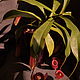 Непентес (Кровавая Мери) - Nepenthes Bloody Mari, Комнатные растения, Нижневартовск,  Фото №1