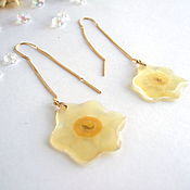 Украшения handmade. Livemaster - original item Broach Earrings with Real Flowers Micronarcissa Gilding Yellow. Handmade.