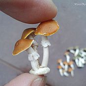 Куклы и игрушки handmade. Livemaster - original item Mushrooms toadstool for dollhouse miniature. Handmade.