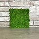 Panel made of stabilized moss 30*30 grade ' Extra '(pruning), Design, Belgorod,  Фото №1