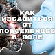  Избавиться от подселенцев, Маятник, Москва,  Фото №1