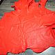 Ostrich leather, soft dressing, in bright red, Leather, St. Petersburg,  Фото №1
