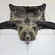Шкура медведя 170 см, Подарки для охотников и рыболовов, Сыктывкар,  Фото №1