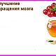 УЛУЧШЕНИЕ КРОВООБРАЩЕНИЯ МОЗГА. СТАРИННЫЙ РЕЦЕПТ, Мастер-классы, Москва,  Фото №1