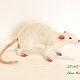 Order White rat. SoftToysByElenaArt. Livemaster. . Felted Toy Фото №3