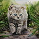  Kitten on a walk. Pictures. Art-sokolova. Online shopping on My Livemaster.  Фото №2